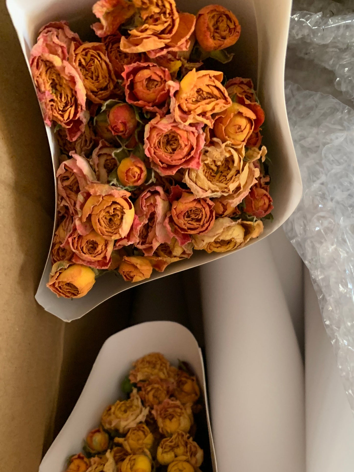Roses séchées mini branchées