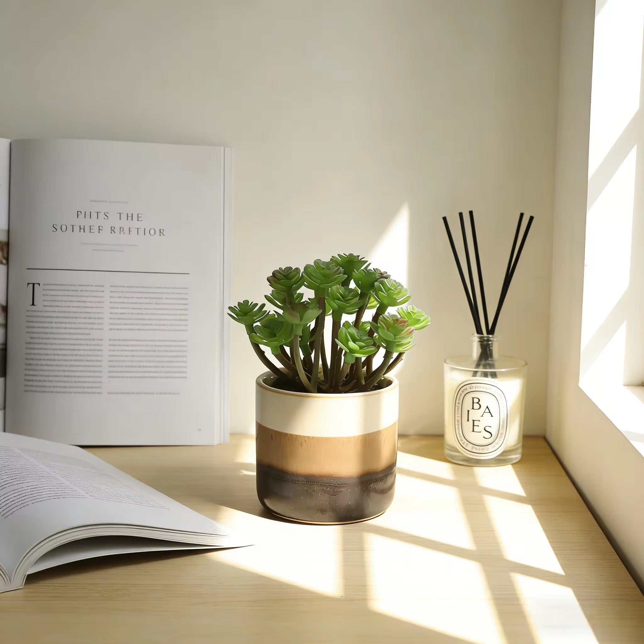 Plante succulente artificielle pot céramique dégradé