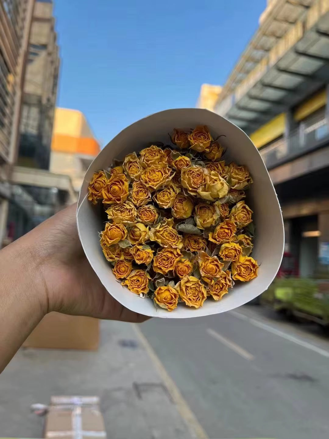 Roses séchées mini branchées