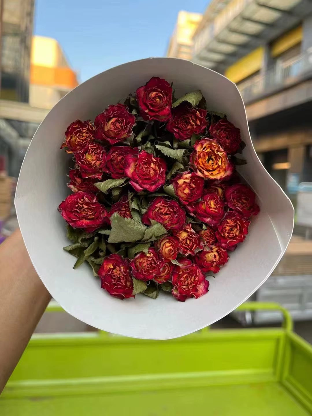 Roses séchées mini branchées