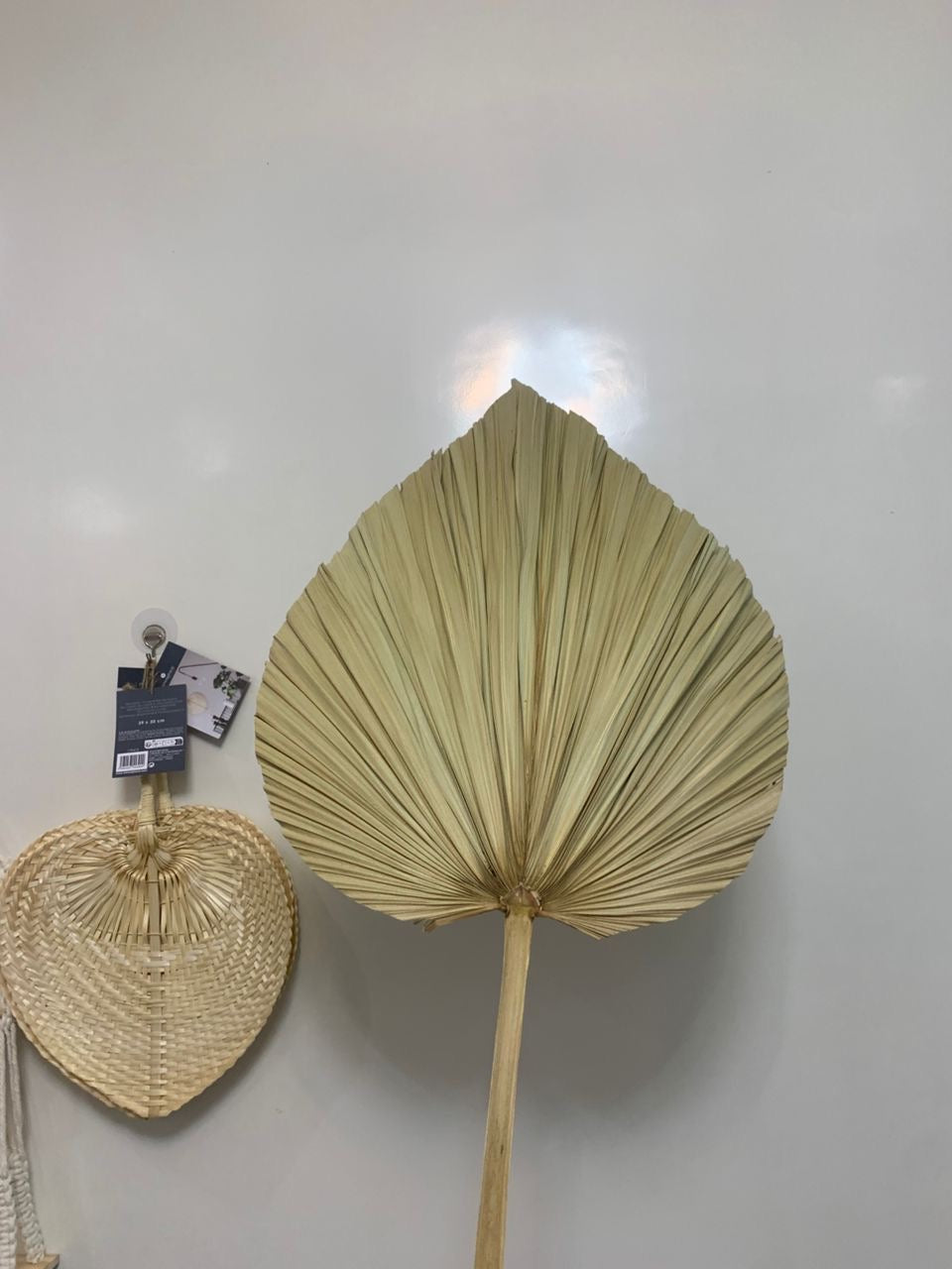Feuille de palmier séché