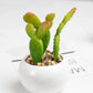 Mini pots céramiques fleurs artificielles