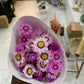 Fleur de marguerite séchée