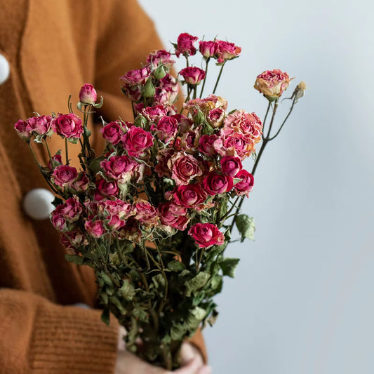 Roses séchées mini branchées