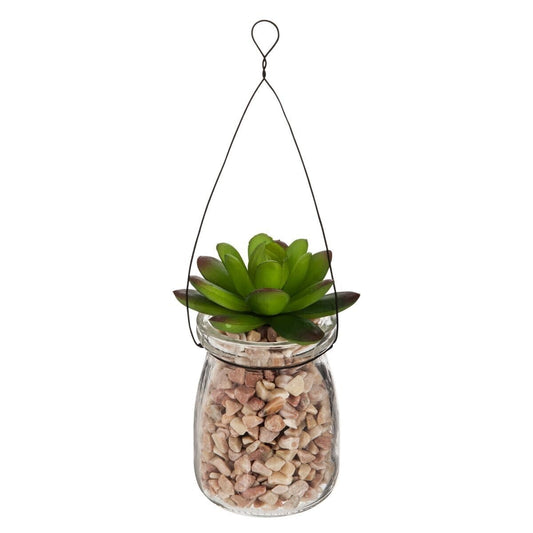 Plante suspension verre