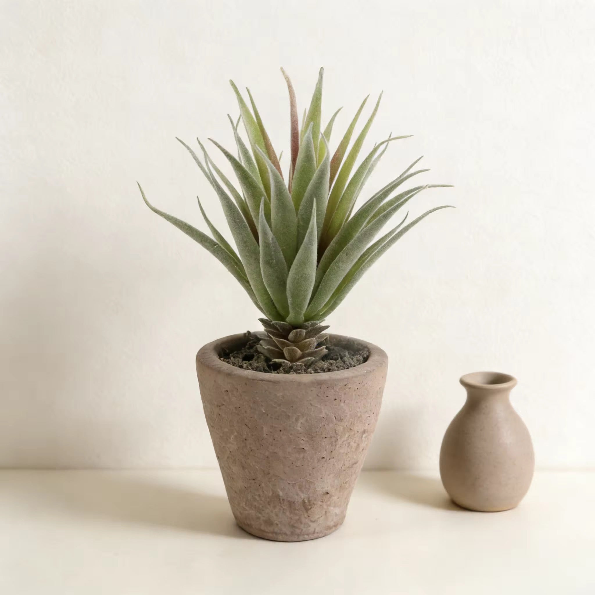 Plantes Artificielles Pot Béton