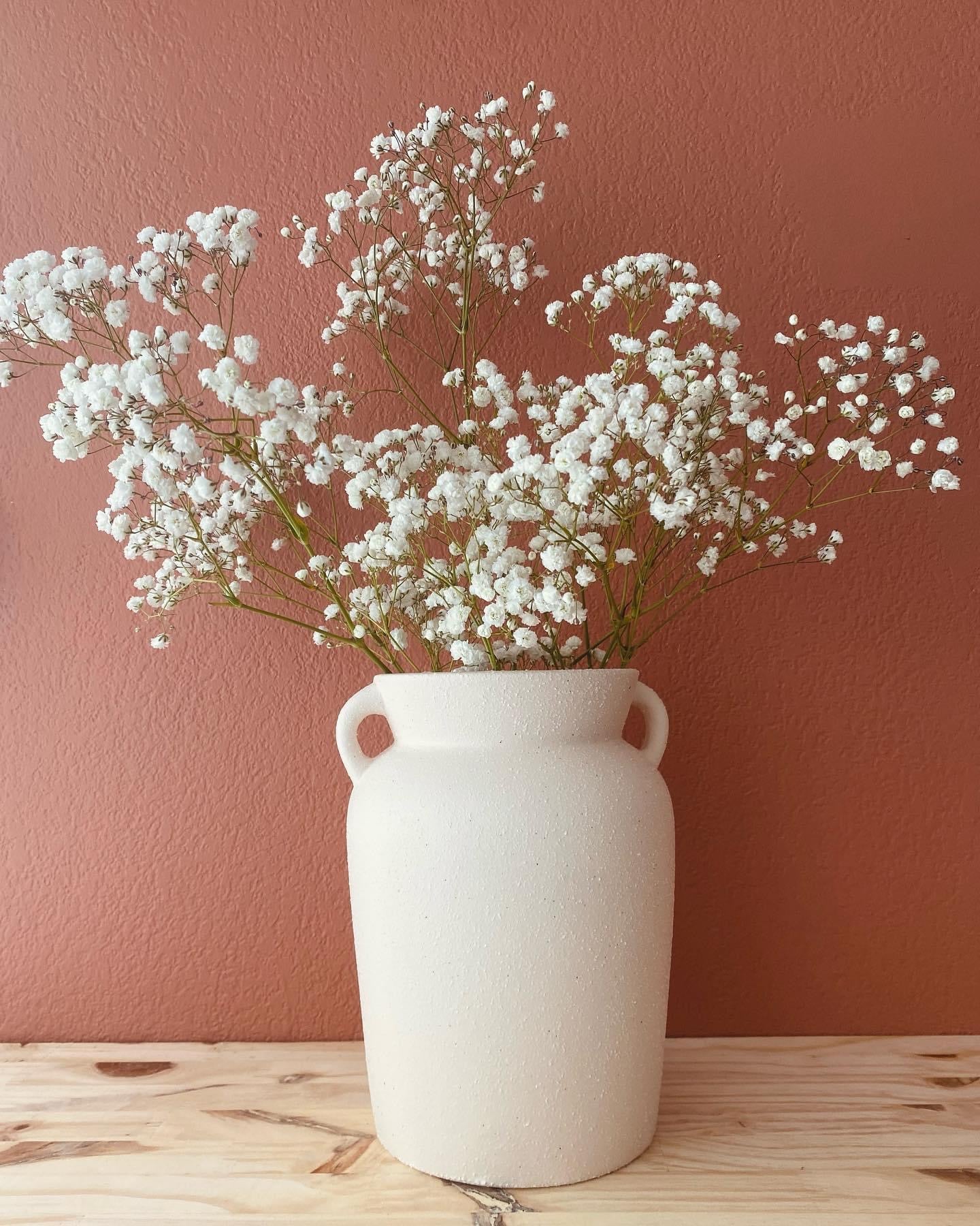 Gypsophile Séché