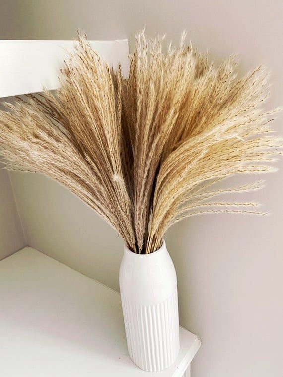 Feuilles de Pampas fins