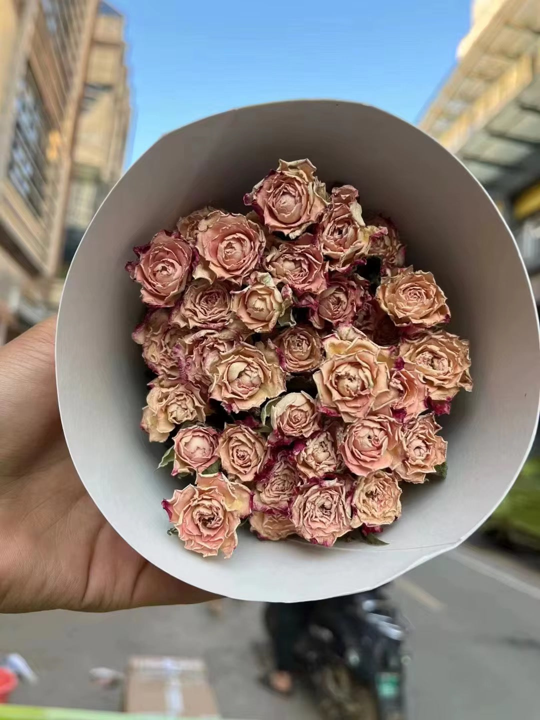Roses séchées mini branchées