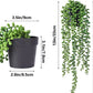 Plantes suspendues artificielles